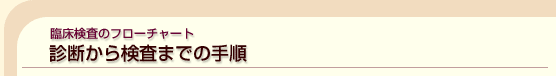 �Տ������̃t���[�`���[�g�b�f�f���猟���܂ł̎菇